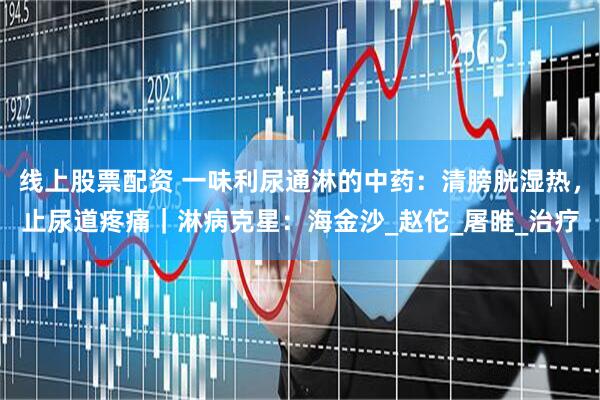 线上股票配资 一味利尿通淋的中药：清膀胱湿热，止尿道疼痛｜淋病克星：海金沙_赵佗_屠睢_治疗